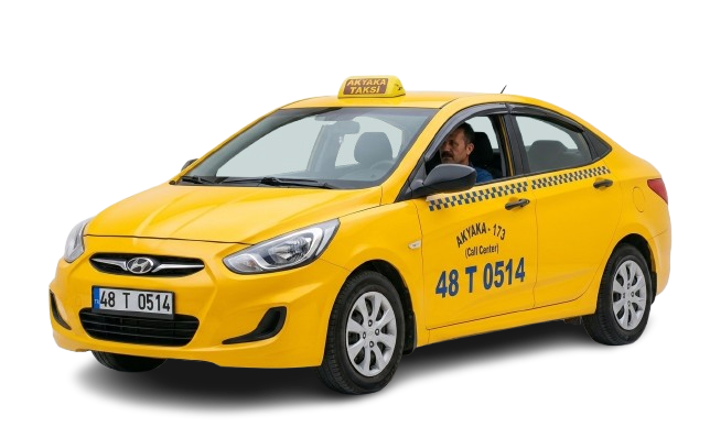 Gemini_Generated_Image_xmq2haxmq2haxmq2-removebg-preview